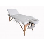 Portable Massage Table, Bed with Reclineable Back