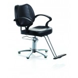 Roman Salon Styling Chair